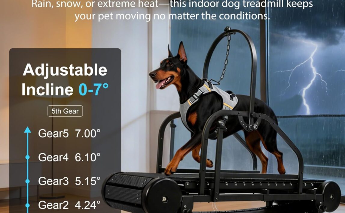https://fifa.com-ens-us-tickets.store/product-category/medium-treadmills-2/