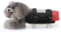 Dog Scooter Wheelchair – Small Size Drag Bag for Paralyzed Dogs, Chest & Limb Protection, Indoor/Outdoor Use