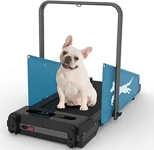 Dog Treadmill – Folding Indoor Running Machine for Small Dogs, 1.5 HP Motor, 220 lbs Capacity