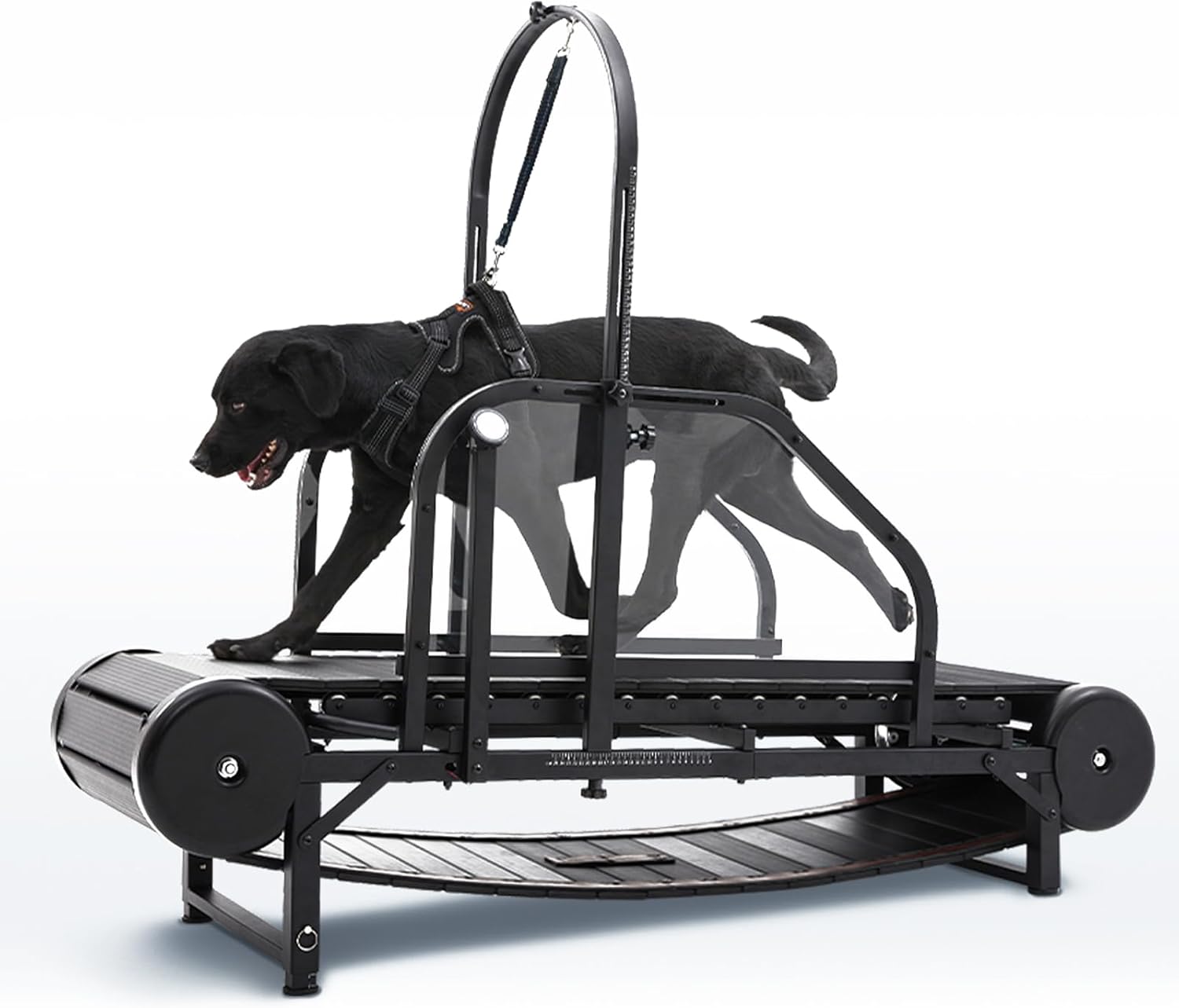 CAMTTIR Giant Dog Treadmill 2026 – Non‑Electric, Adjustable Incline & Step Counter, Supports 300 lbs