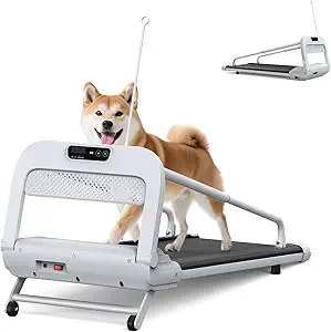 https://fifa.com-ens-us-tickets.store/product-category/treadmills/