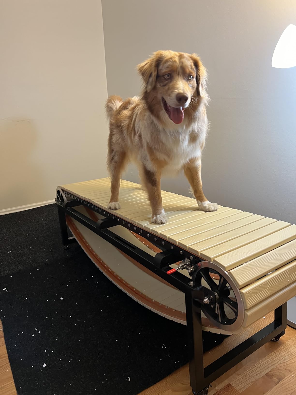 PawPaw’s 2026 Medium Dog Treadmill – Non‑Electric Slatmill with Adjustable Height, Supports 330 lbs