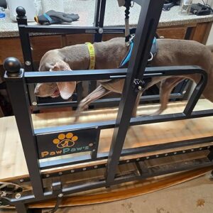PawPaw’s 2026 Large Dog Treadmill Upgrade – ABS Track & Brake System, Supports 330 lbs