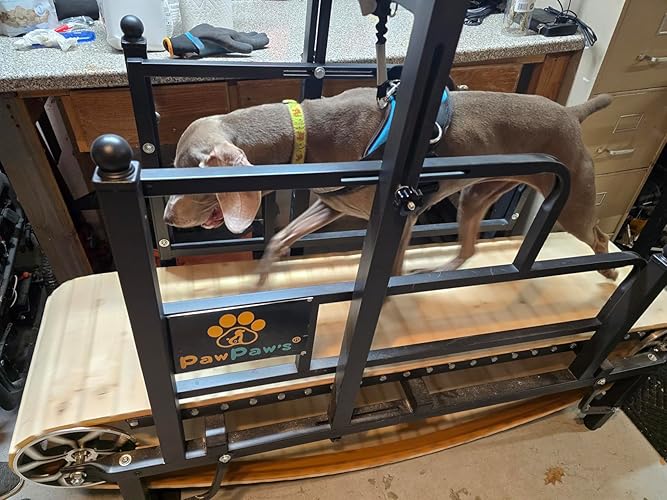 PawPaw’s 2026 Large Dog Treadmill Upgrade – ABS Track & Brake System, Supports 330 lbs