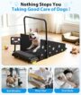 GYMAX 3‑in‑1 Dog & Human Treadmill – Pet Runner with Removable Panels, Remote Control & LED Display