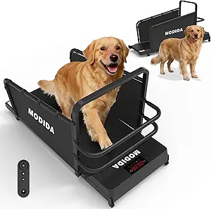 10 km/h Indoor Exercise Machine for Small & Medium Dogs, Quiet Motor, LED Display, Remote Control