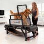 MlemGirove 2026 Dog Treadmill – Non‑Electric Slatmill with Speedometer, Disc Brake & 500 lbs Capacity