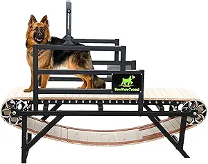 Dog Treadmill – Heavy Duty Running Machine for Large & Medium Dogs, Indoor & Outdoor Exercise Equipment, Supports 300 lbs