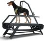 CATWEST 2026 Dog Treadmill – Non‑Electric Slatmill with Step Counter & Adjustable Incline, Supports 300 lbs