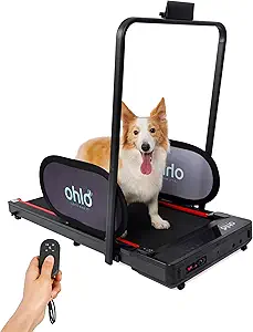 Ohlo Dog Treadmill – Indoor Running Machine for Small & Medium Dogs, 42″ Deck, Portable Design with Wheels & Remote