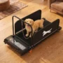 Small Dog Treadmill – Indoor Puppy Training Wheel, LCD Display, Quiet Motor & Side Panels, 220 lbs Capacity