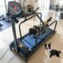 The HJGJYWLQ Electric Dog Treadmill is the perfect indoor fitness solution for small, medium, and large dogs. Featuring a quiet 200W motor and LCD display, it allows you to monitor speed, time, and distance while keeping your pet active and healthy indoors—rain or shine. 🐾 Adjustable Speed: 0.8–6 km/h (0.5–3.7 mph) for walking, jogging, or running. 🐕 Spacious Running Area: 33.5" × 11" (850 × 280 mm) belt for comfortable strides. 🦴 Safe Design: Side rails, non‑slip surface, quick‑stop function, and safety leash attachment. 🐶 Durable Build: Strong steel frame and reinforced running belt support pets up to 176 lbs (80 kg). 💡 Compact & Portable: Integrated wheels for easy moving; fits in living rooms, garages, or pet rooms. Product Specifications: Brand: HJGJYWLQ Color: A Dimensions: 42.52"D × 18.9"W × 8.27"H Weight: 41.9 lbs Motor Power: 200W Speed Range: 0.8–6 km/h (0.5–3.7 mph) Max Load: 176 lbs (80 kg) Horsepower: 200W Assembly: No assembly required