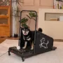 Dog Treadmill – Electric Fitness Pacer for Medium Dogs, Large Running Belt, Remote Control, 1.5 HP Quiet Motor