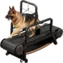 Dog Treadmill (v2) – Indoor Running Machine for Medium & Large Dogs, Heavy Duty Exercise Equipment, Supports 300 lbs