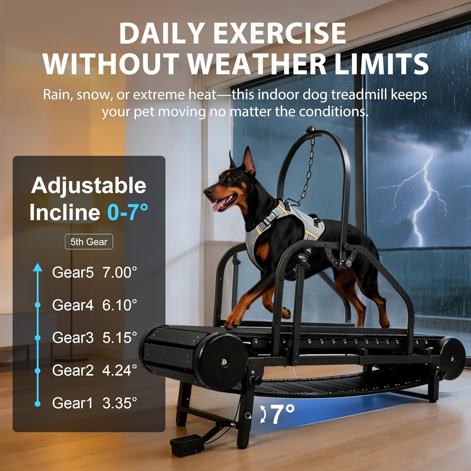 Raenate 2026 XL Dog Treadmill – Non‑Electric, Heavy Duty Indoor Track for Giant Dogs, Supports 500 lbs